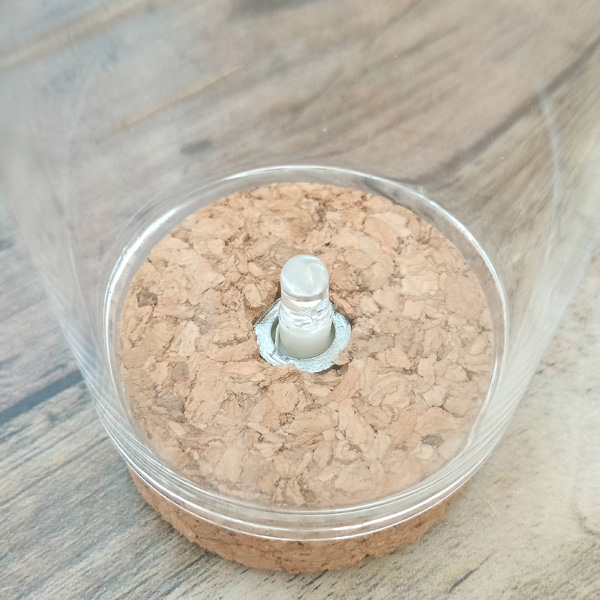 園芸ネット本店｜LEDライト付きテラリウム容器 の通販【公式】