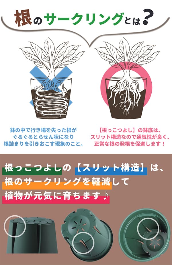 園芸ネット本店｜根っこつよしブラック 7号・8号・9号の3種セット の