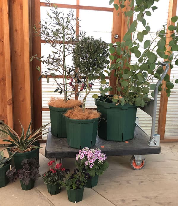 園芸ネット本店｜とんでもないポット：10号CSM-300（モスグリーン） の