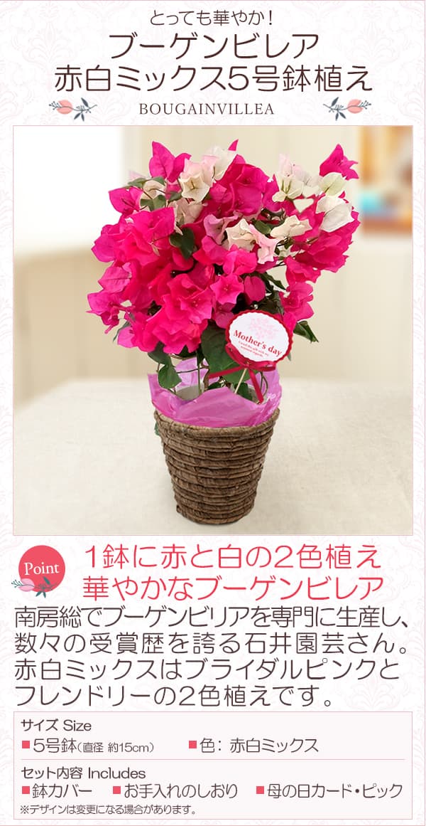 園芸ネット本店｜[送料無料][2025年 母の日ギフト][予約