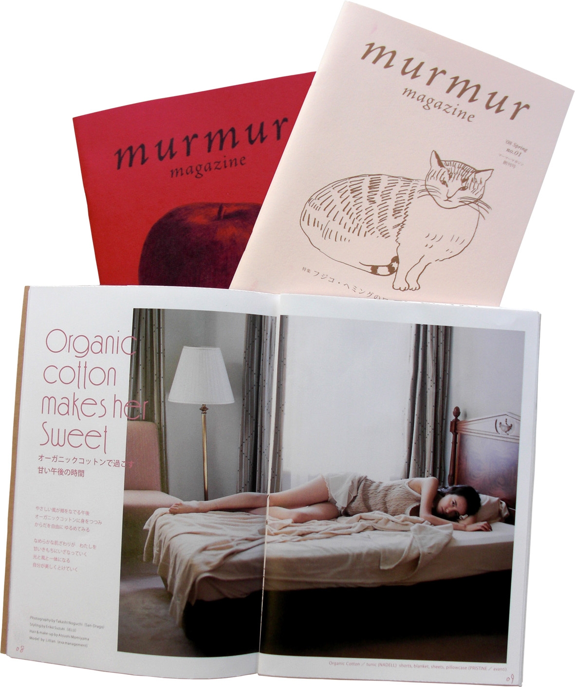 マーマーマガジン（murmur magazine）｜定期購読 - 雑誌のFujisan