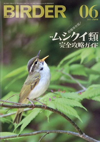BIRDER（バーダー） 2023年6月号 (発売日2023年05月16日) | 雑誌/電子