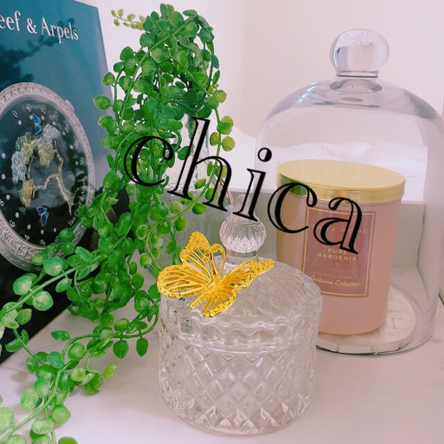 Francfranc - 新品✴︎即発送 蝶々 バタフライ 小物入れ インテリア