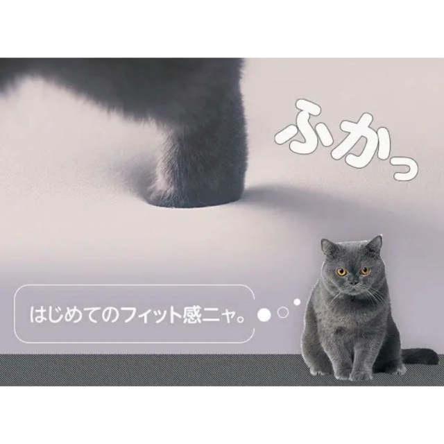 新品未開封 トゥルースリーパー プレミアケア クイーンサイズ 厚み5CM