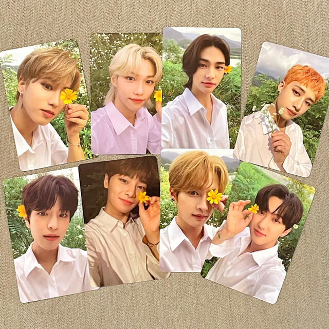 スキズ 限定盤 トレカ 8枚セット straykids noeasyの通販 by pom｜ラクマ