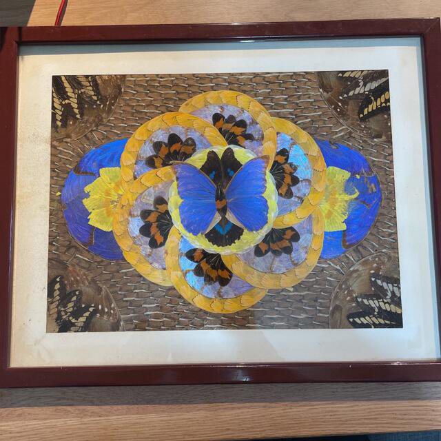 額縁付き】モルフォ蝶 アート【壁掛け可能】の通販 by 大根's shop｜ラクマ