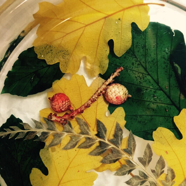 ローマ有名店＊イタリア キウラート ハーブ アクリル皿の通販 by 8色の