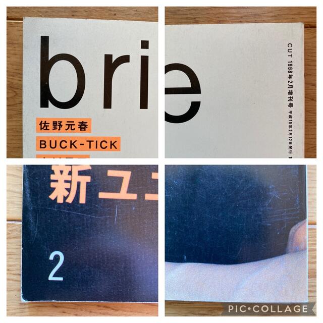 草野マサムネ 宮本浩次 Bridge 表紙の通販 by かえるのへや｜ラクマ