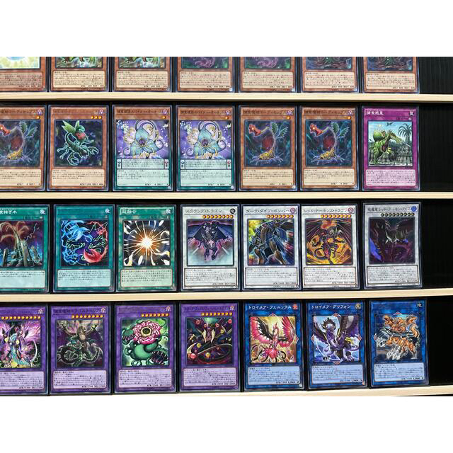 遊戯王 - 遊戯王 捕食植物デッキ メイン40エクストラ15 スリーブ付の