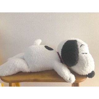 gelato pique（ぬいぐるみ）のフリマアイテム一覧