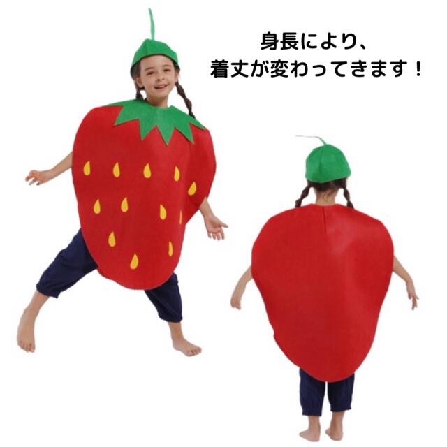 キッズ フルーツ コスプレ 苺 いちご ハロウィン セット販売 衣装