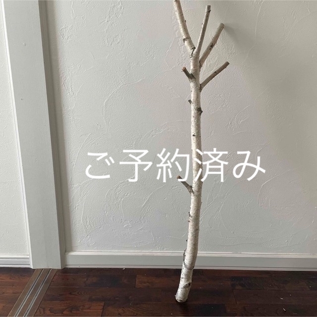 北海道白樺の木 店舗用インテリア 装飾 クリスマス装飾 の通販 by 花萌