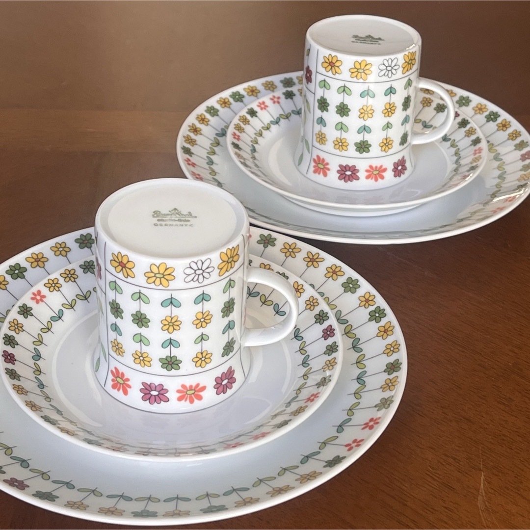 Rosenthal - 【レア美品】ローゼンタール☆ピエモンテ☆エミリオプッチ