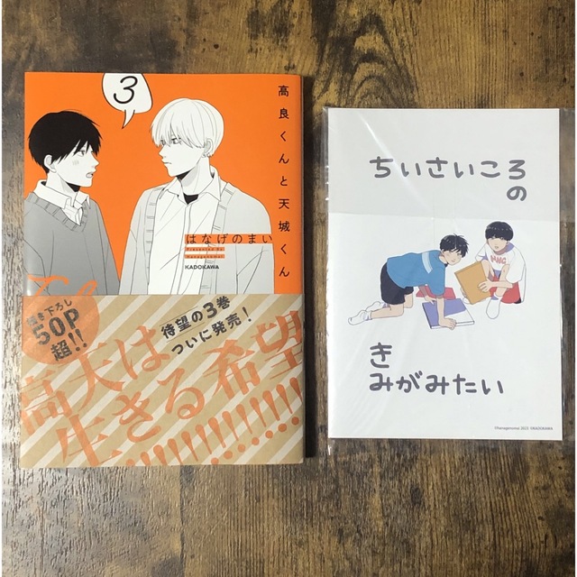 高良くんと天城くん3 アニメイト限定小冊子付きの通販 by めい's shop