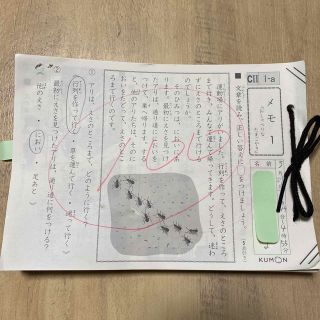 1830646273.jpg?1677319519