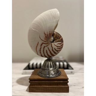 1811677472.jpg?1675649031