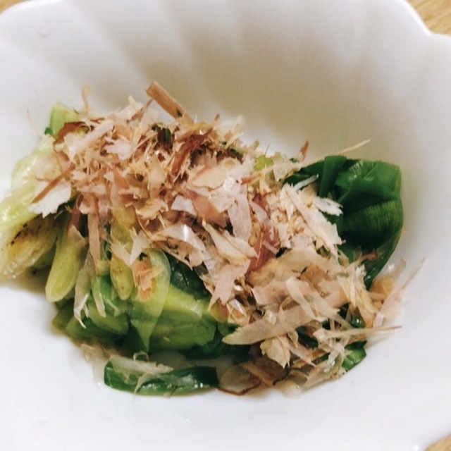 カンゾウ60g 新芽 朝採取れ 無農薬 山菜 漢方 山野草 新鮮の通販 by