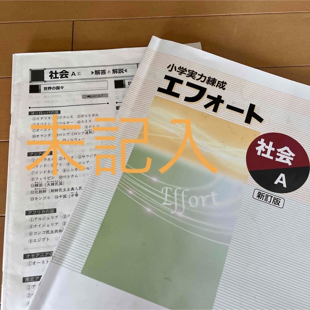 小学実力錬成 エフォート 社会 新訂版 中学受験 塾教材の通販 by
