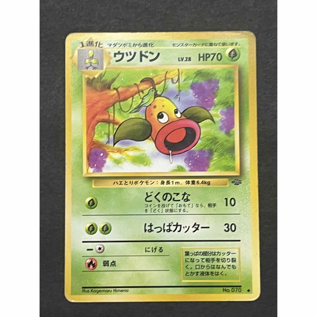 ポケモン - ポケモンカード マダツボミ ウツドン 旧裏 2枚の通販 by