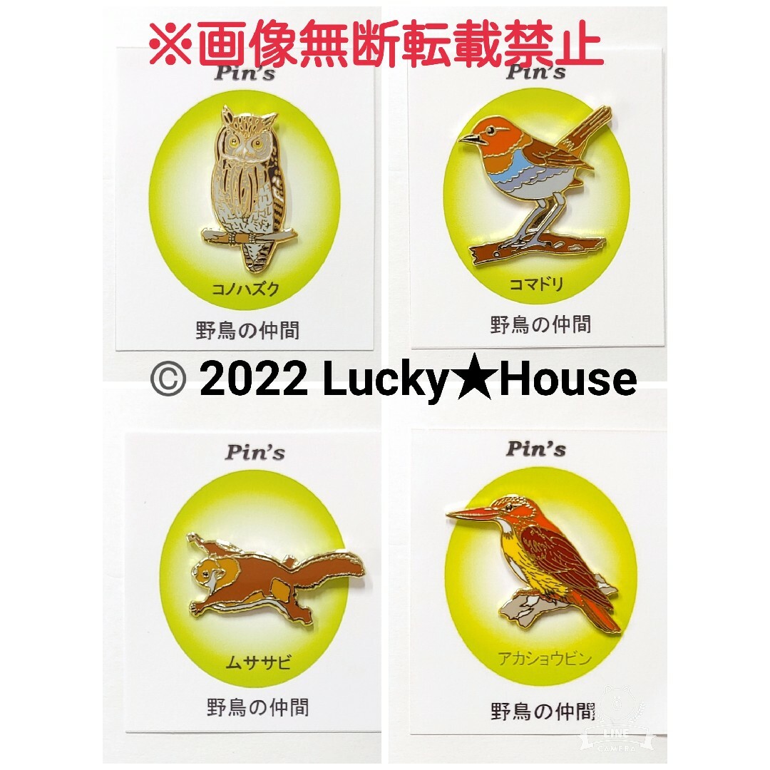 野鳥 ピンバッジ 全25種類 お好きな1点を選んで下さい！の通販 by