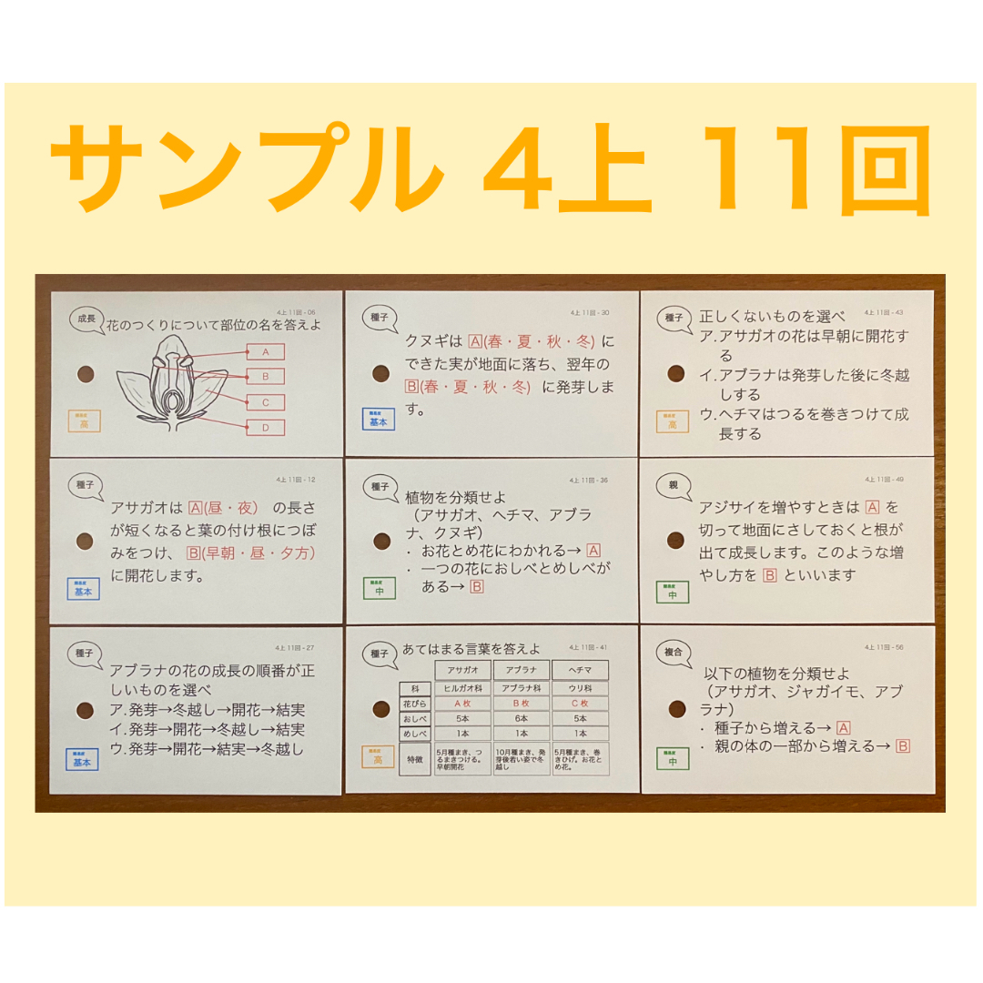 中学受験 暗記カード【4年生向け 理科 生物セット】植物,動物の通販 by