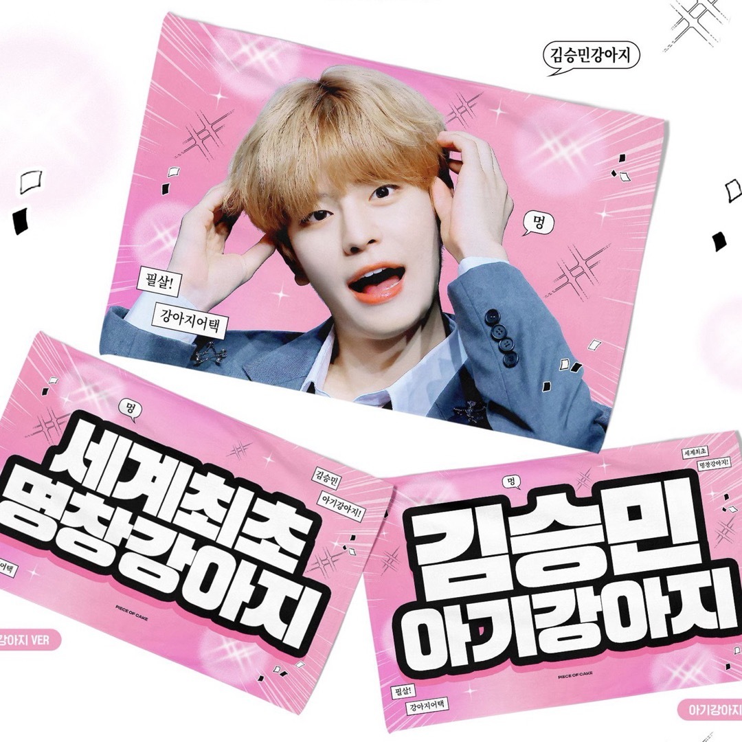 Stray Kids - straykids スンミン スローガン の通販 by zoa's shop