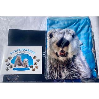 2054364833.jpg?1696998883