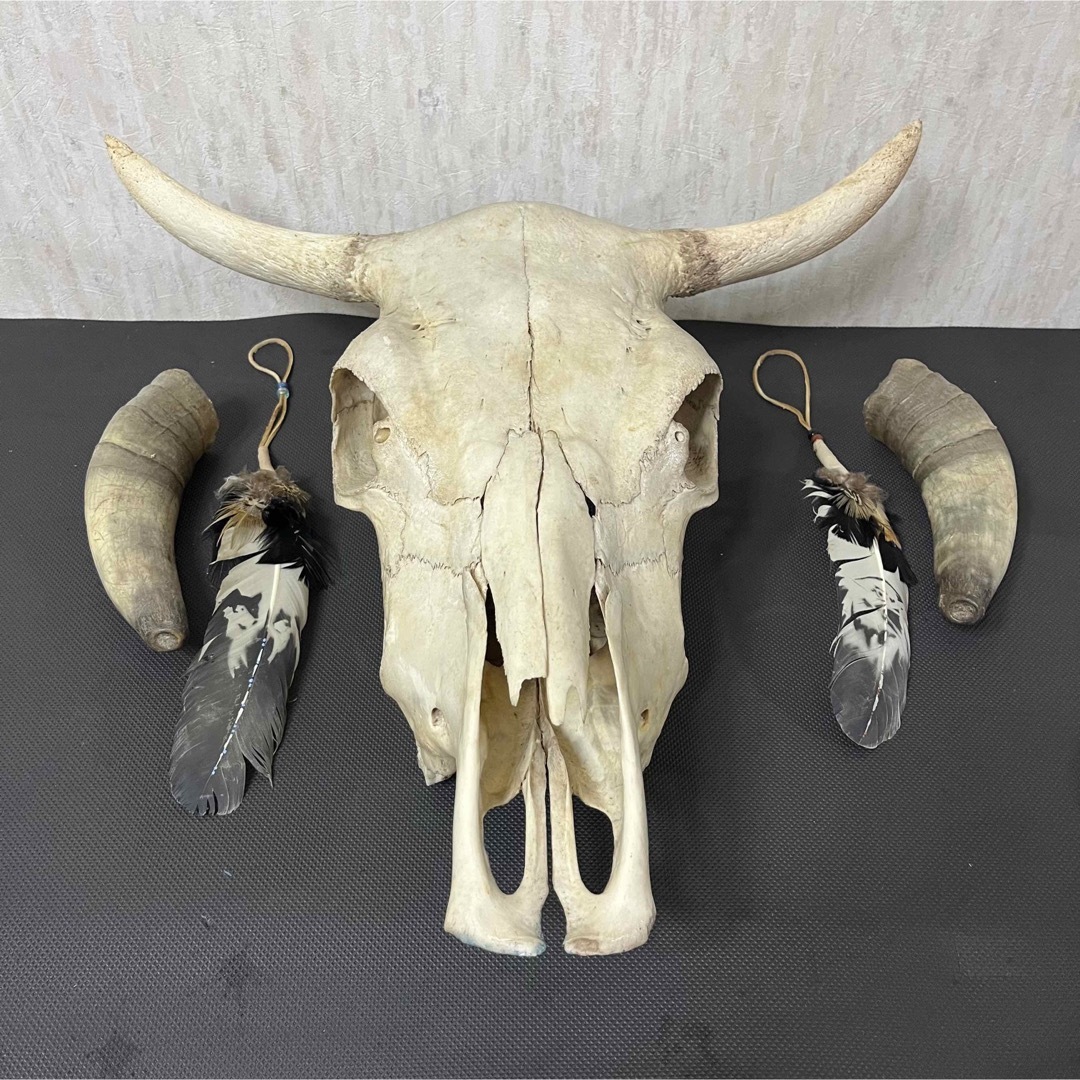 希少品 ヴィンテージ スカルヘッド バッファロースカルの通販 by