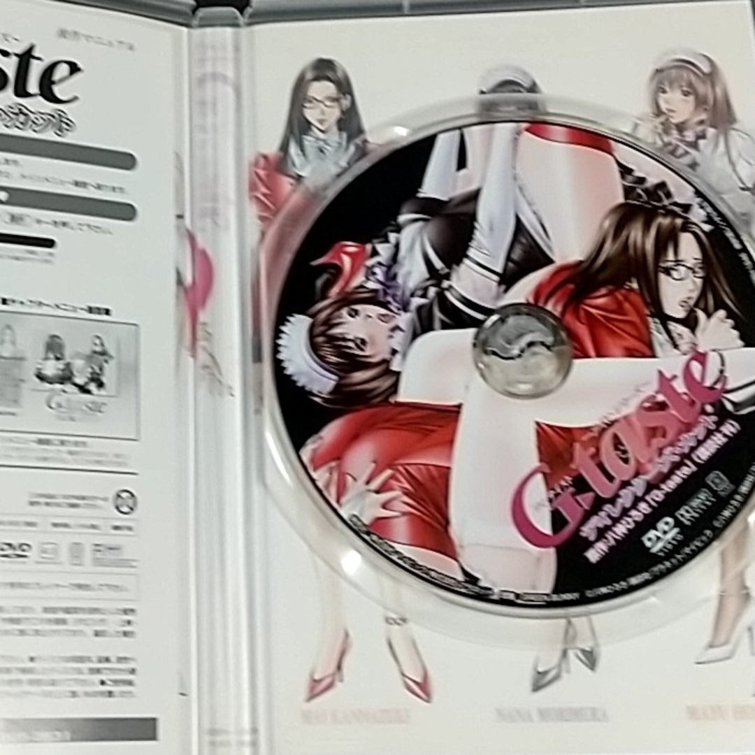 G-taste ～メイド・シリーズ～ ディレクターズ・カット版 イラスト集