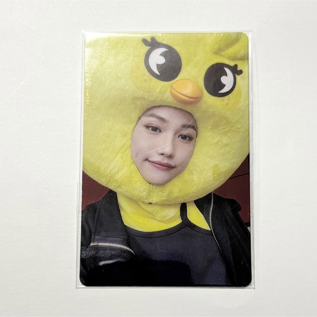 Stray Kids - Stray Kids フィリックス MAXIDENT SKZOO トレカの通販