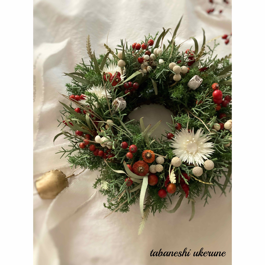 赤い実と白い実を紡いだ アイアンベルが鳴る クリスマス リース ドライ
