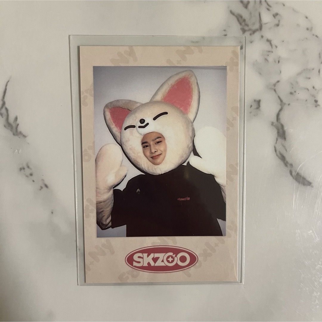 Stray Kids - アイエン / SKZOO ポラロイド 5枚 コンプセットの通販 by