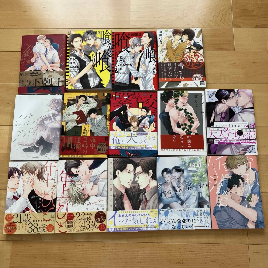 BLコミック まとめ売り 14冊の通販 by カブトムシ｜ラクマ