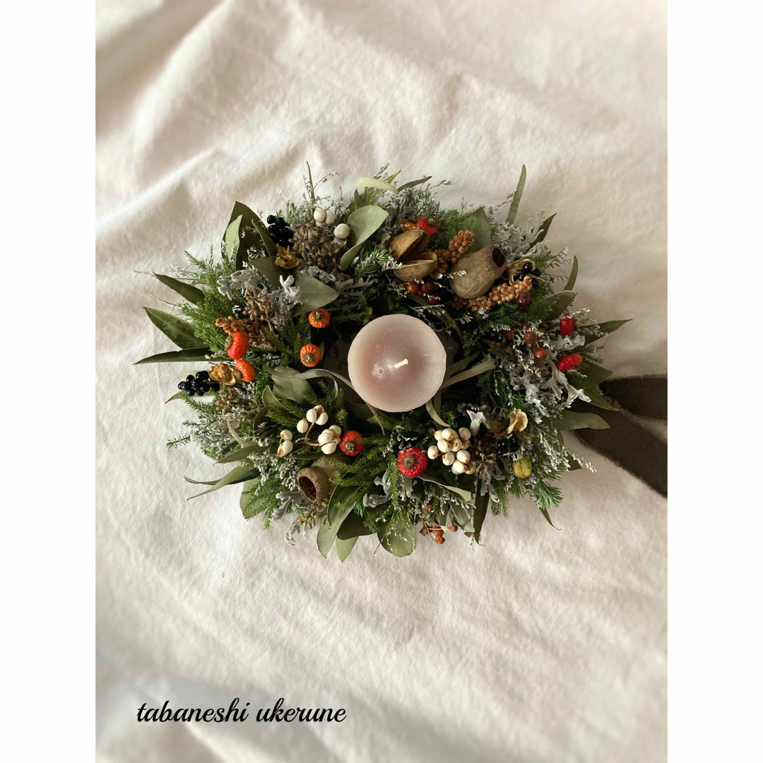 数種類の実物と針葉樹を紡いだ オーバル型のクリスマス リース ドライ