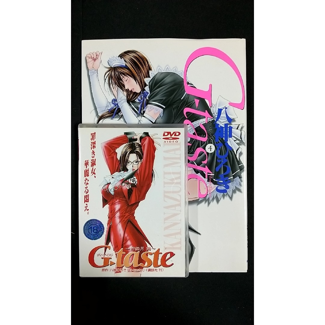 G-taste ～神無月舞DVD、G-taste4 イラスト集セットの通販 by ステラ