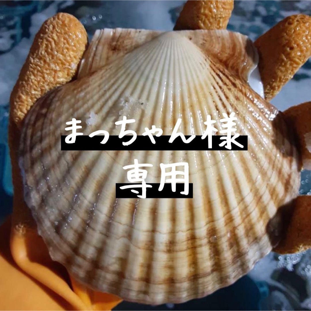 まっちゃん様専用