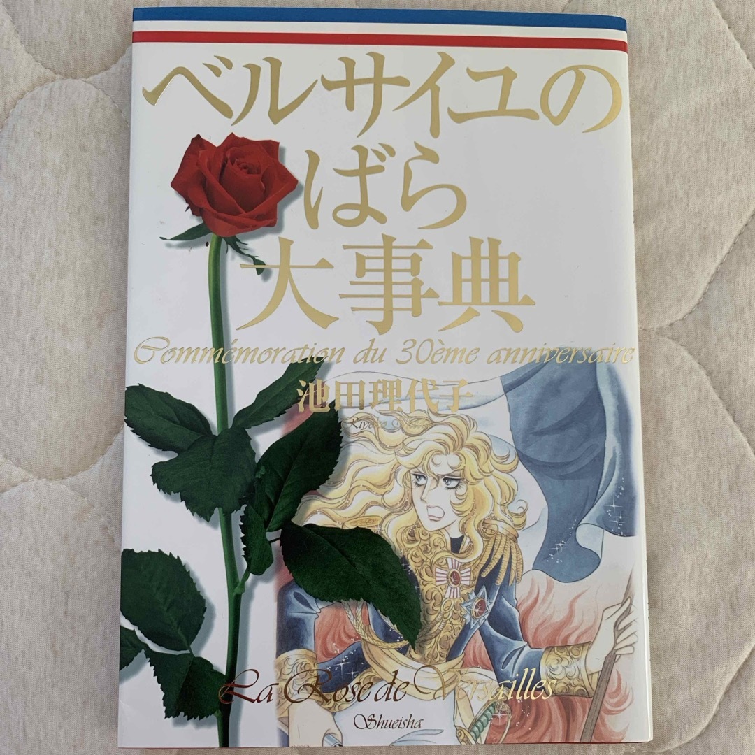 ベルサイユのばら大事典の通販 by りすちゃん's shop｜ラクマ