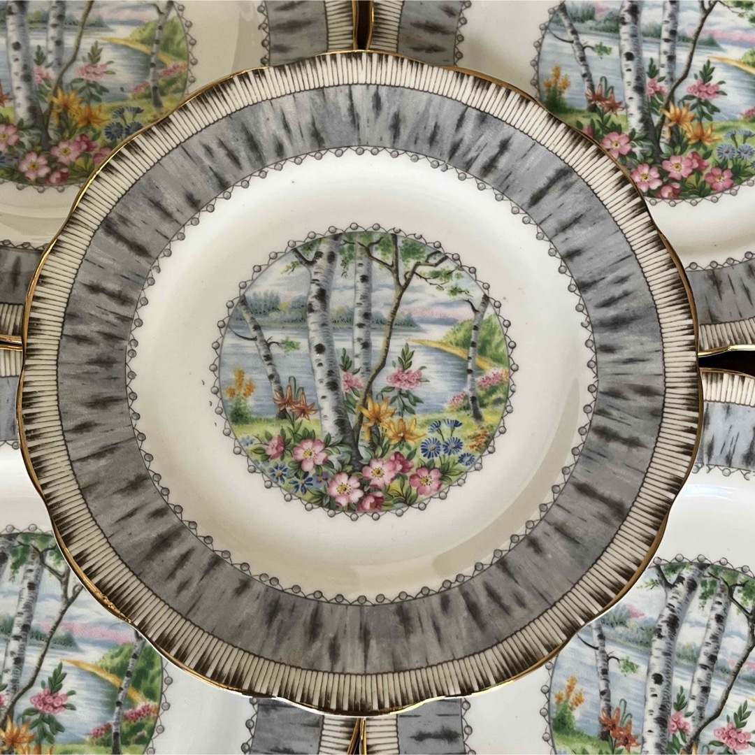 レア美品】ロイヤルアルバート☆シルバーバーチ☆ケーキ皿 5枚