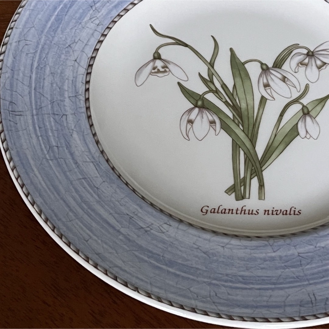 WEDGWOOD - 【美品】英国製 ウェッジウッド☆サラズガーデン スノー