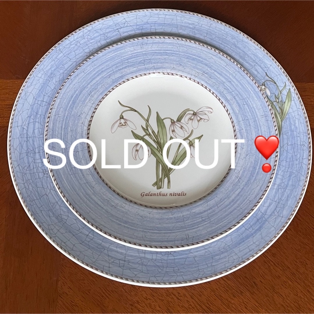 WEDGWOOD - 【美品】英国製 ウェッジウッド☆サラズガーデン スノー