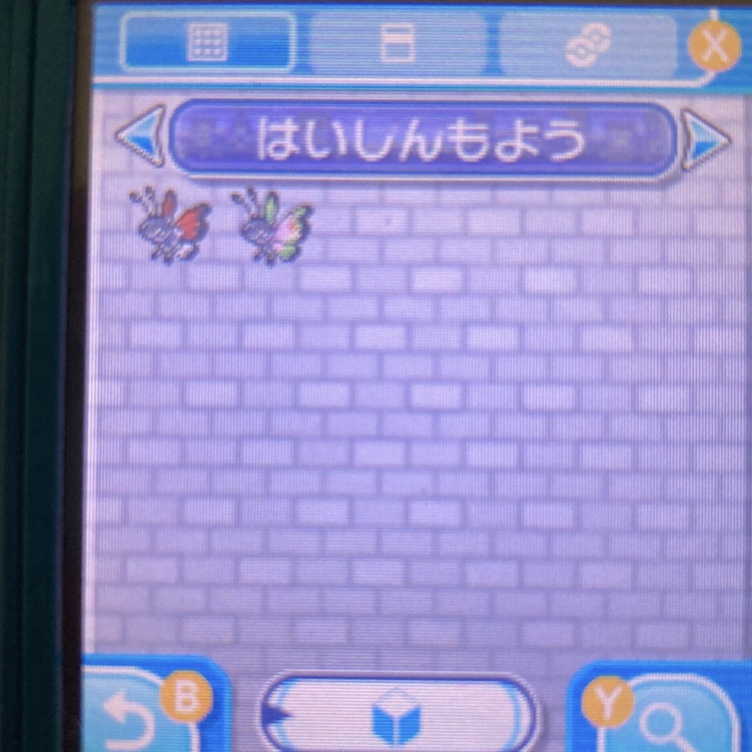 ポケモン - ポケモン サン ビビヨン全模様コンプ 色違いブイズ 4～7