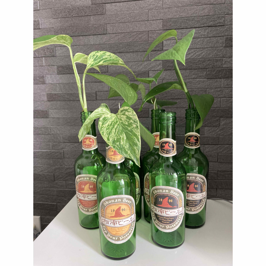 湘南ビール空瓶6本レトロアンティーク 花瓶水差しインテリアの通販 by