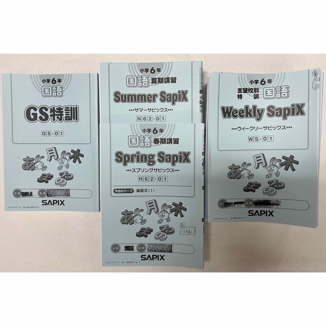 SAPIX デイリーサピックス 6年国語 1年分 2022年度テキスト・プリント