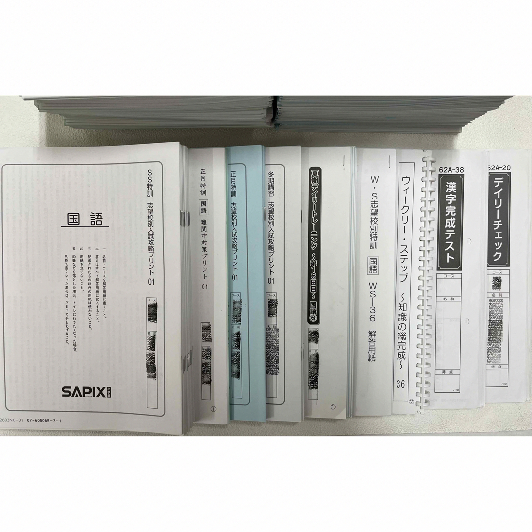 SAPIX デイリーサピックス 6年国語 1年分 2022年度テキスト・プリント