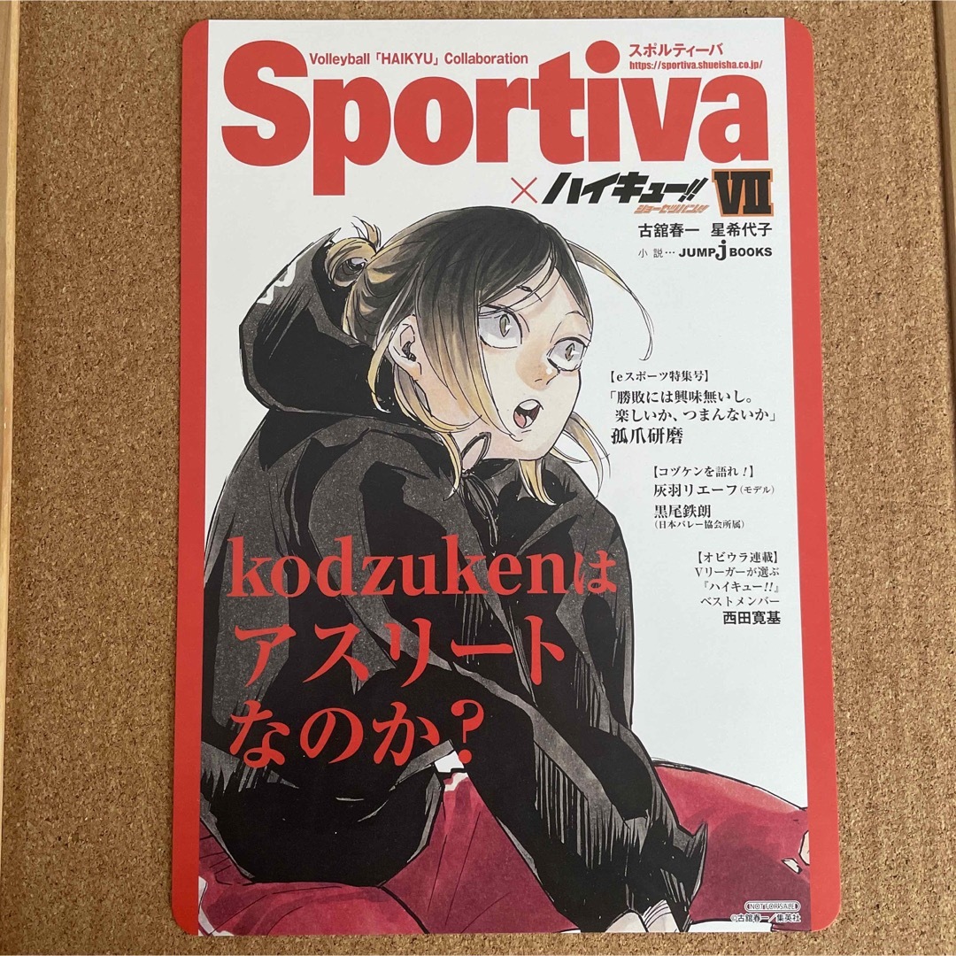 ハイキュー!! 孤爪研磨 B5ビジュアルボード ショーセツバン アニメイト