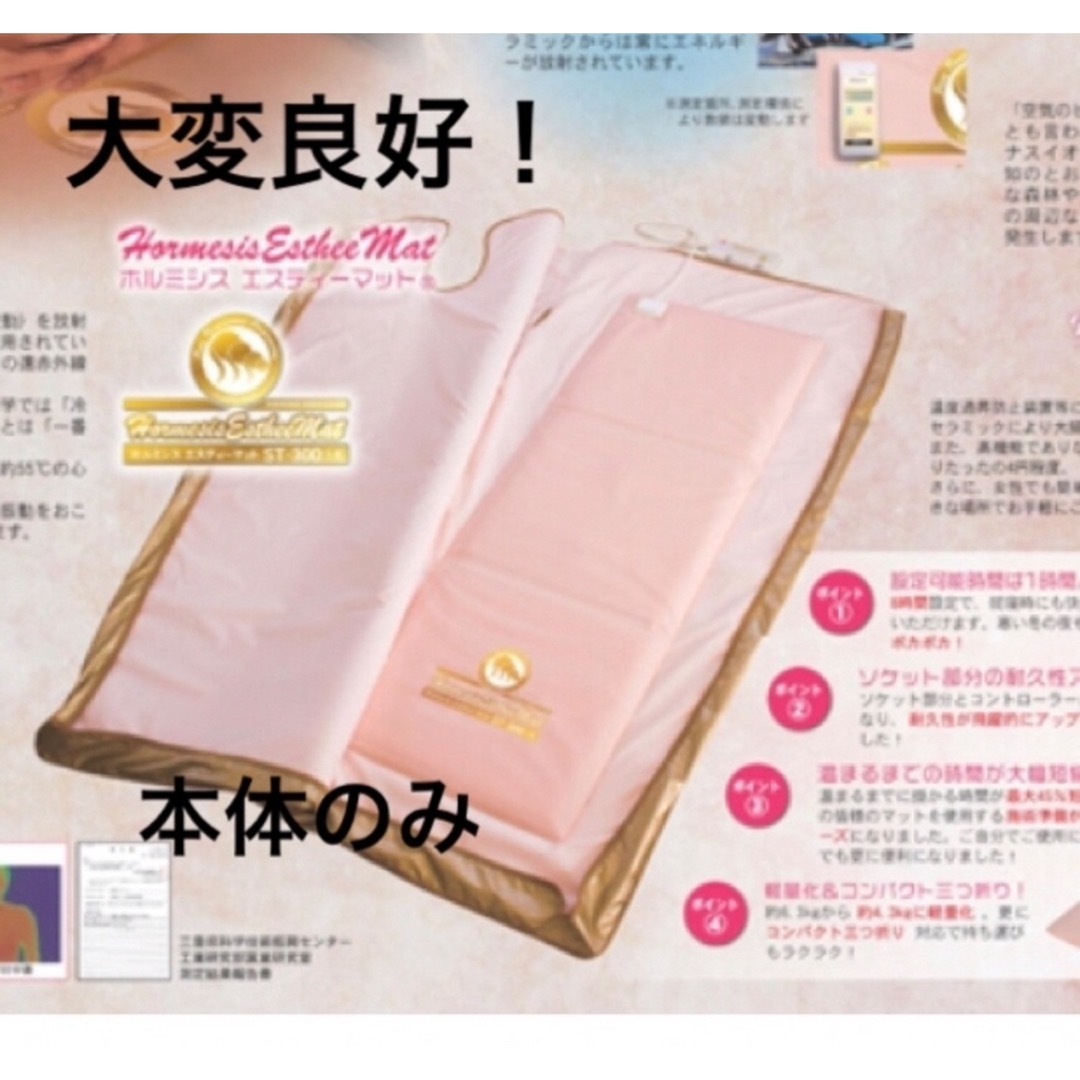 ☆ホルミシスエスティーマットST-300 ホルミシスST-300 マットのみ