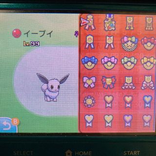 2320548739.jpg?1721057932