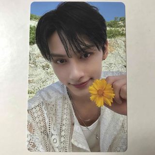 2324828513.jpg?1721476981