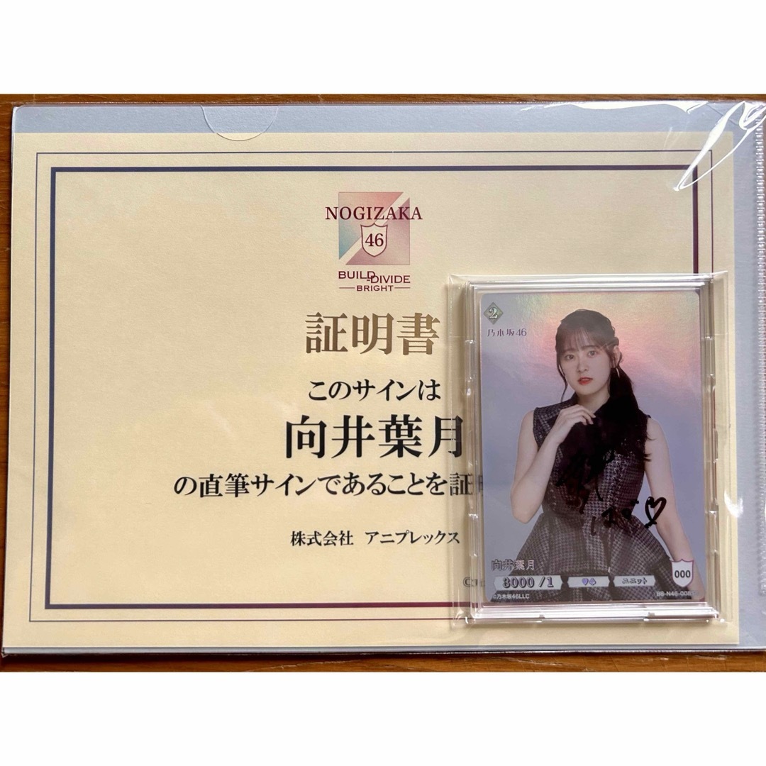 乃木坂46 - 乃木坂46ビルディバイド直筆サイン入り向井葉月の通販 by