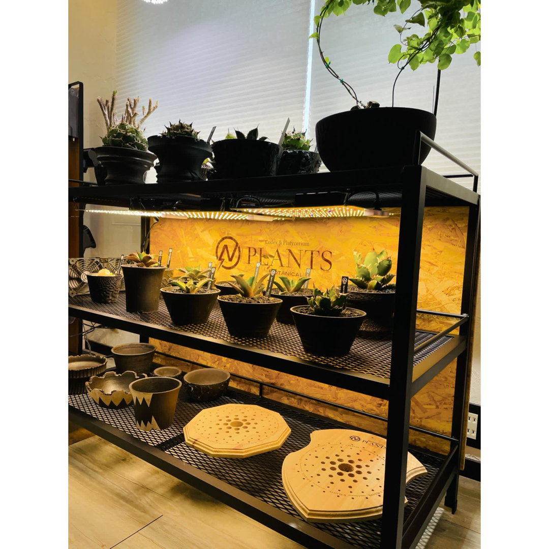 ☆送料込み☆アイアンシェルフ即購入OK 植物棚 ボタニカルシェルフ